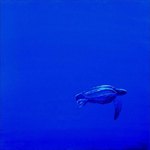 Evolution marine 03  - 01/09  Acrylique sur toile, 60 x 60 cm