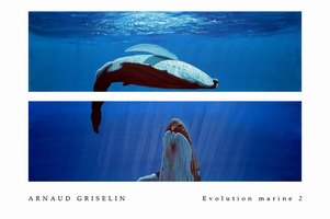 Evolution marine 02 (Marine movement 02)
